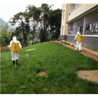 學(xué)校滅鼠滅蟑滅跳蚤