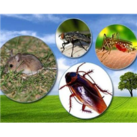 ABUIABAEGAAgw-uO2AUonbzr1gQwyAE4yAE