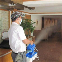 寫字樓滅鼠滅蟑螂